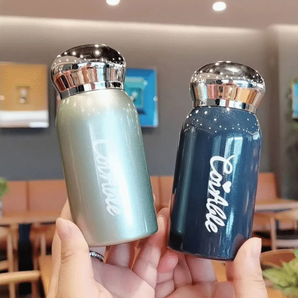 Portable Mini Stainless Steel Vacuum Flask - 220ml